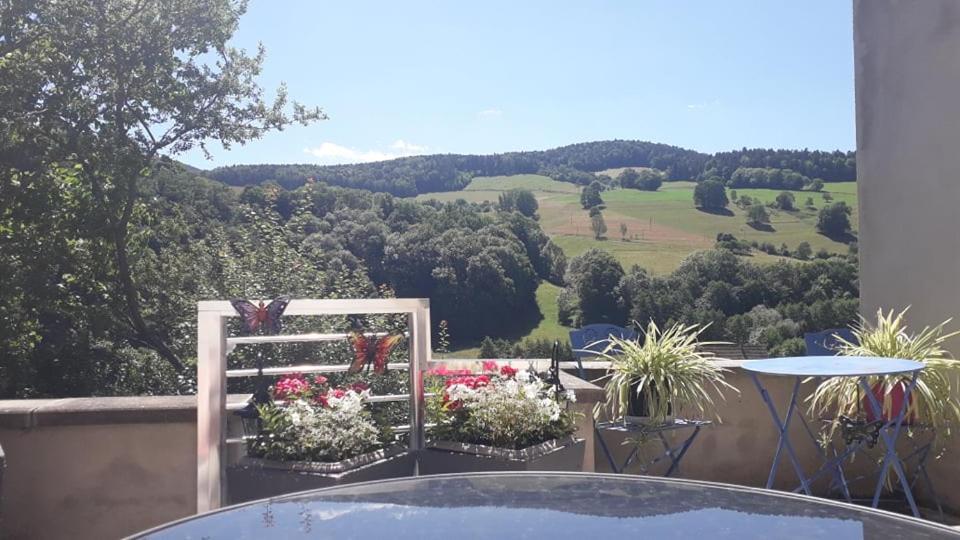 Gite Moderne Proche De Kaysersberg Av Jacuzzi Prive 오르베 외부 사진